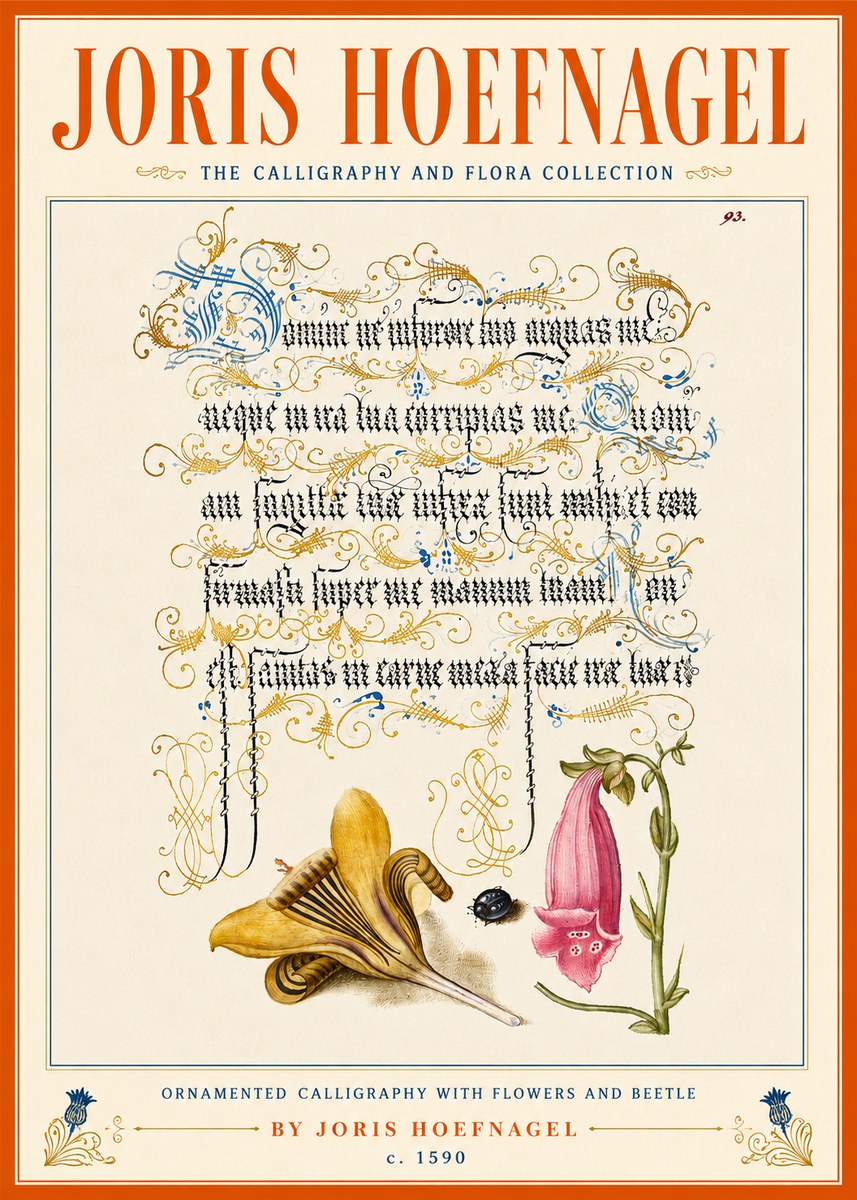 Joris Hoefnagel Ornamented Calligraphy with Flowers and Beetle No5 - Plakát