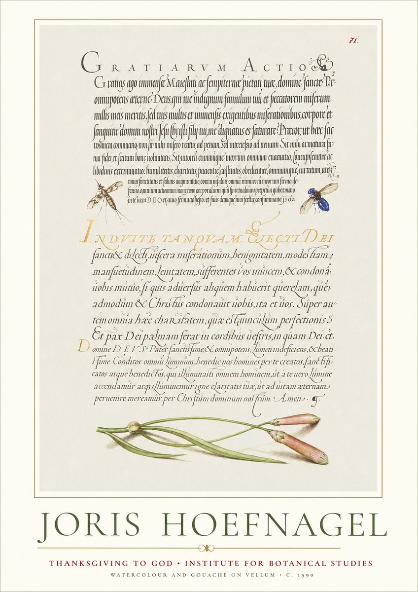 Joris Hoefnagel Thanksgiving to God • Institute for Botanical Studies No1 - Plakát