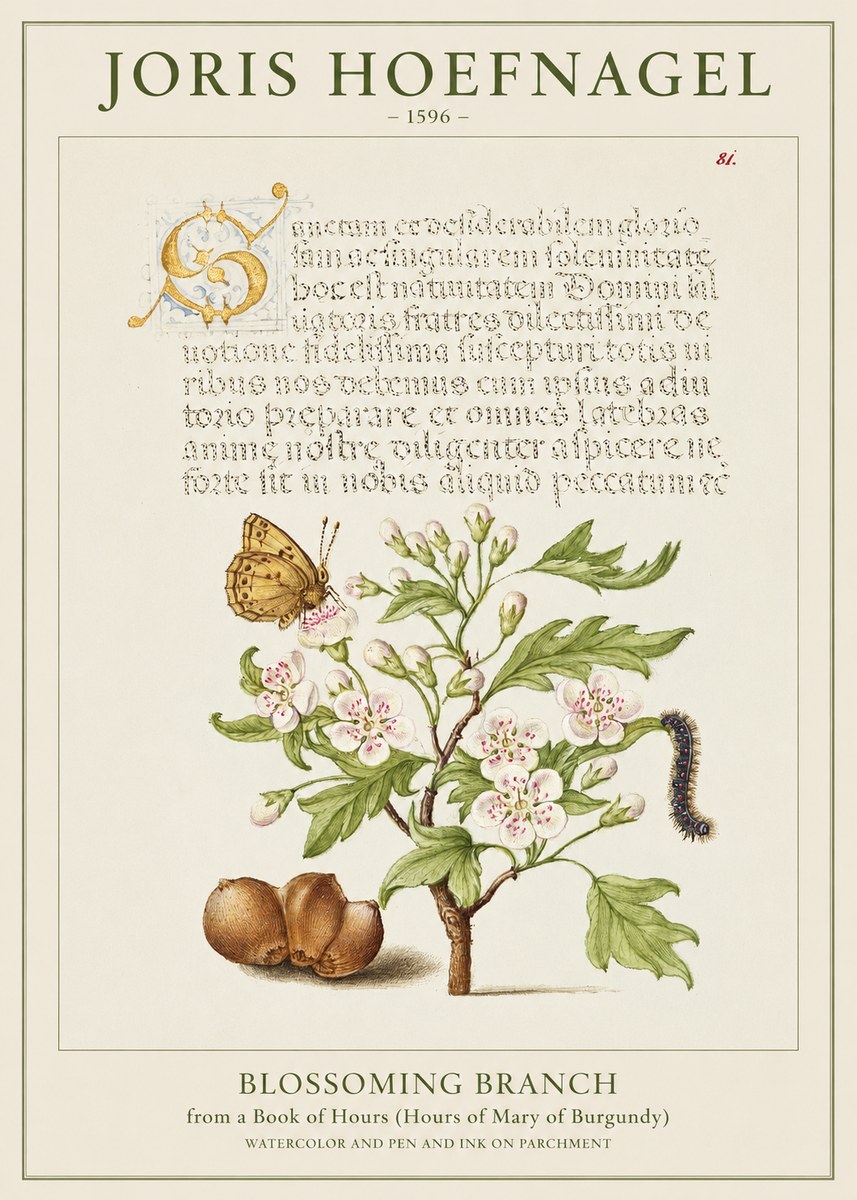 Joris Hoefnagel Blossoming Branch No1 - Plakát
