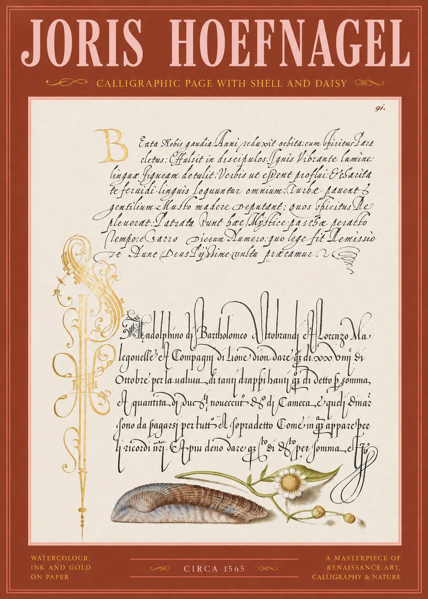 Joris Hoefnagel Calligraphic Page with Shell and Daisy No2 - Plakát