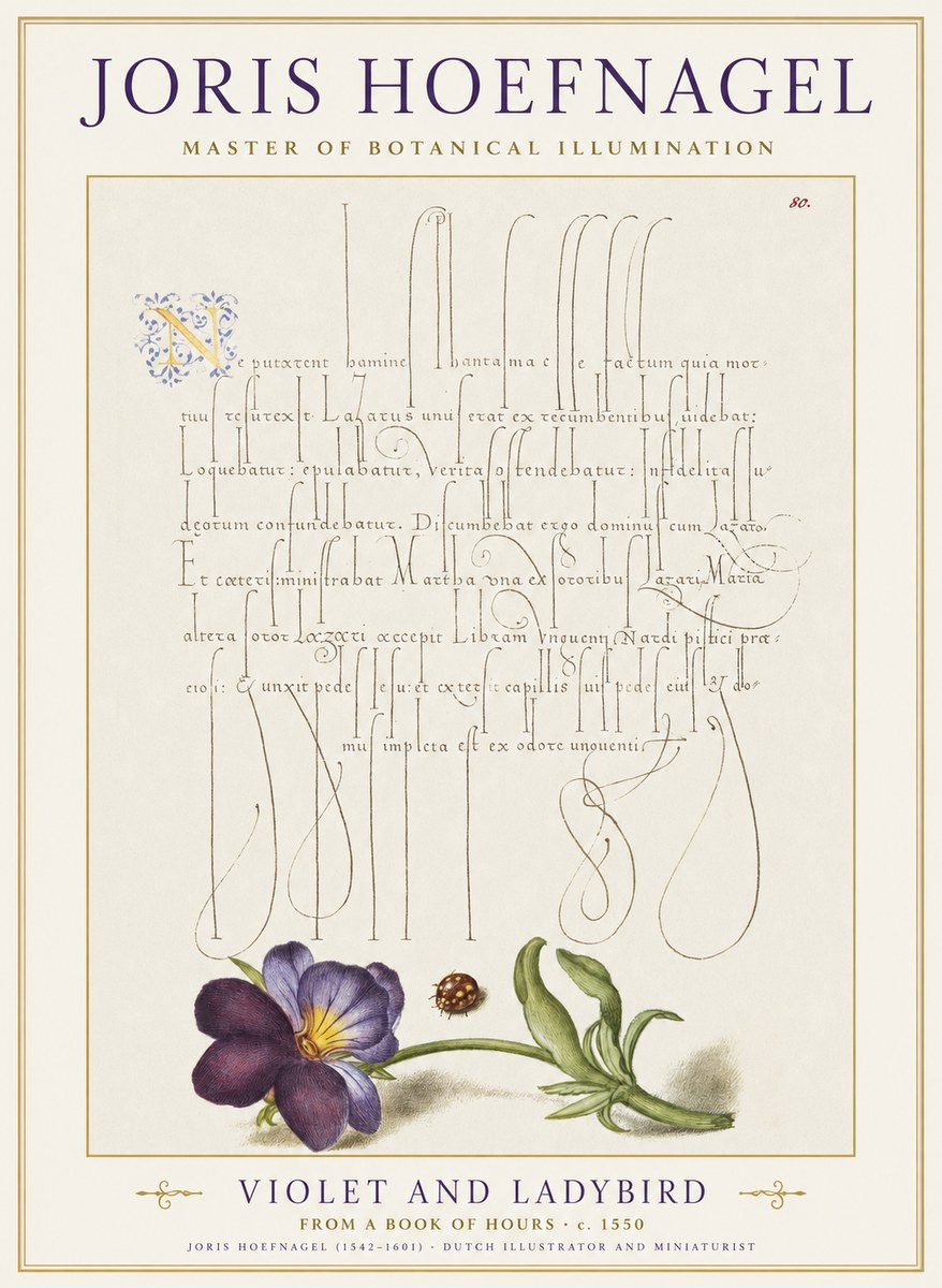 Joris Hoefnagel Violet and Ladybird No1 - Plakát