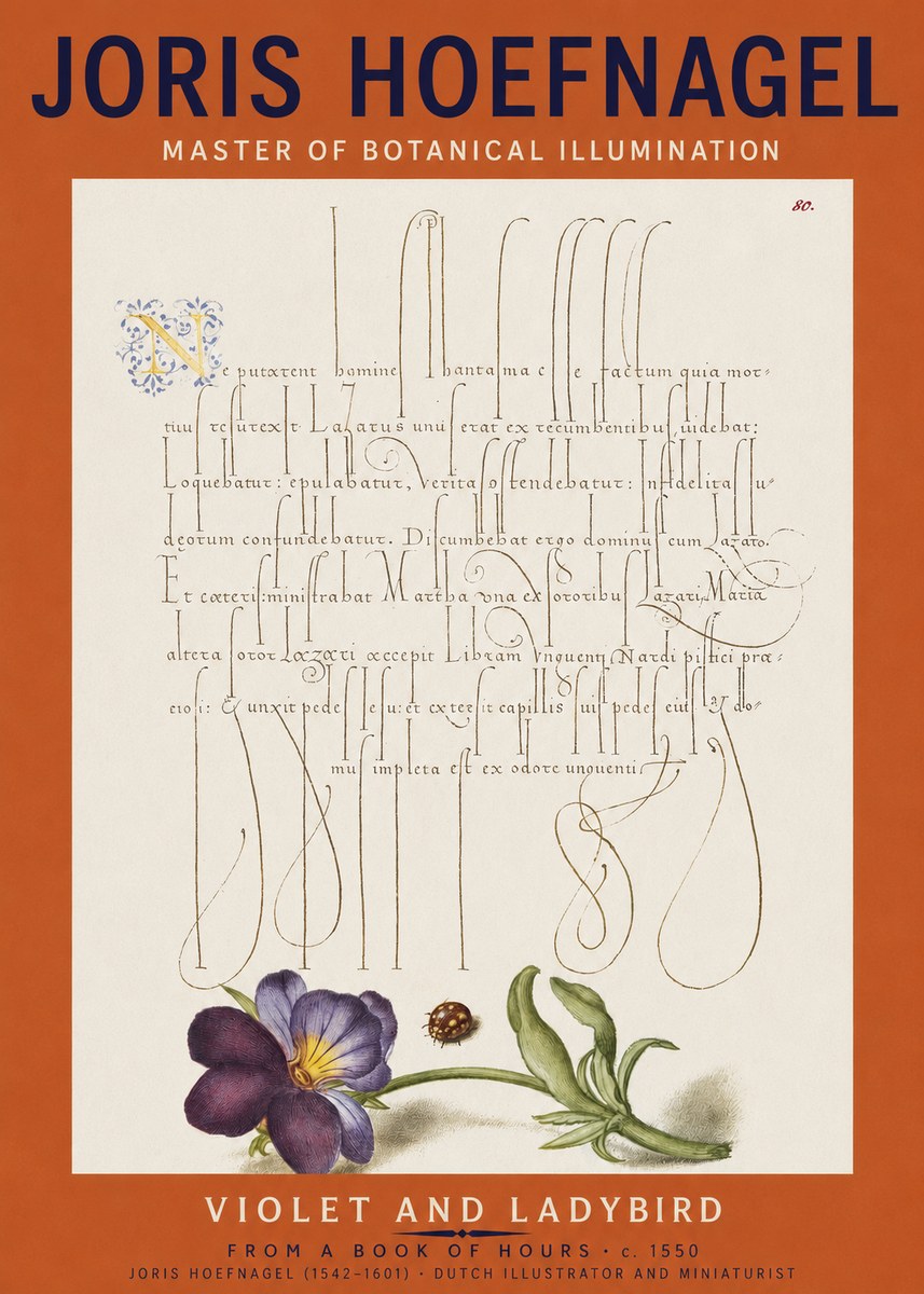 Joris Hoefnagel Violet and Ladybird No2 - Plakát