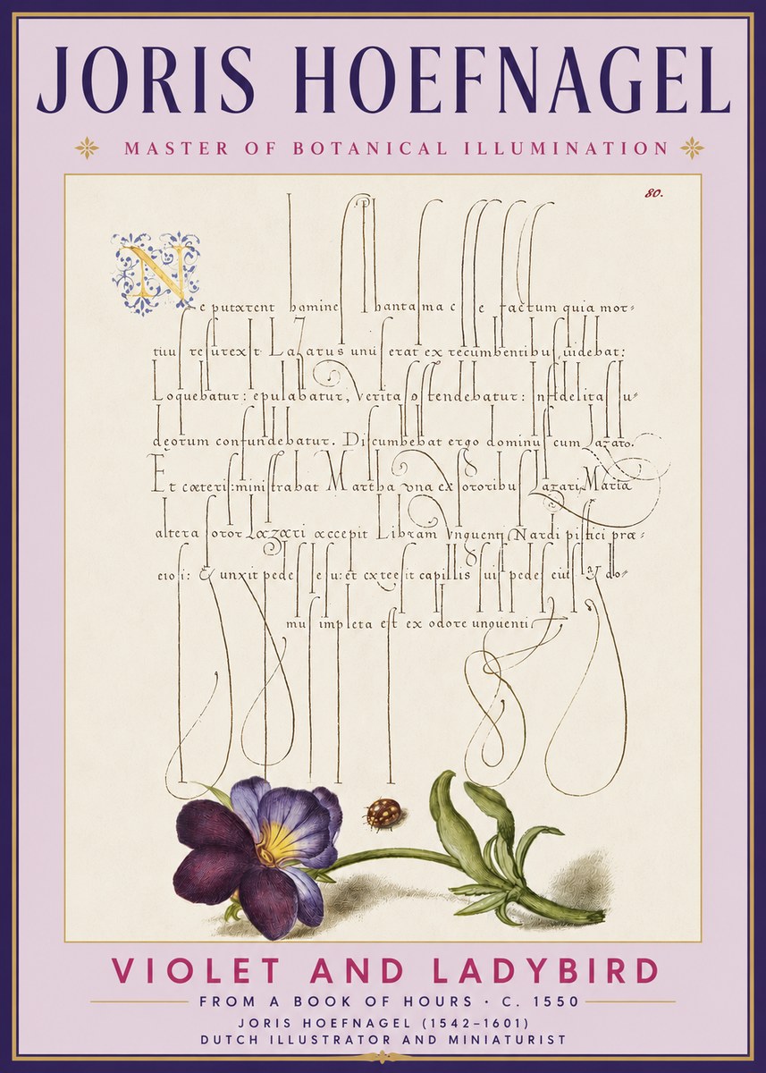 Joris Hoefnagel Violet and Ladybird No3 - Plakát
