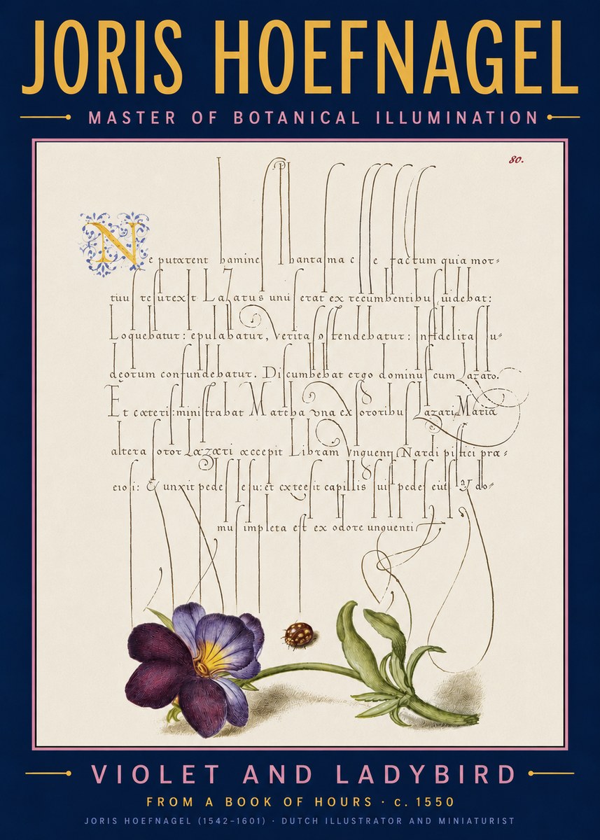 Joris Hoefnagel Violet and Ladybird No5 - Plakát