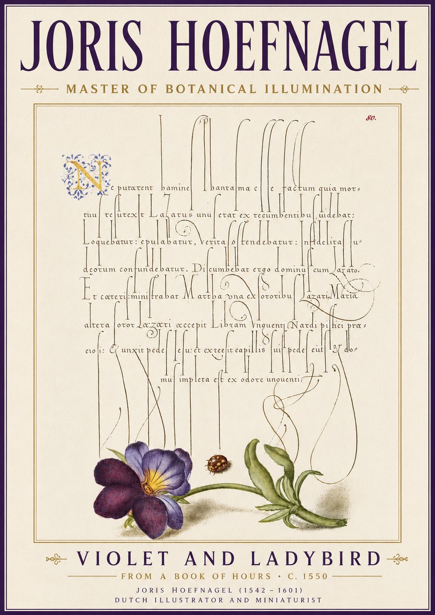 Joris Hoefnagel Violet and Ladybird No6 - Plakát