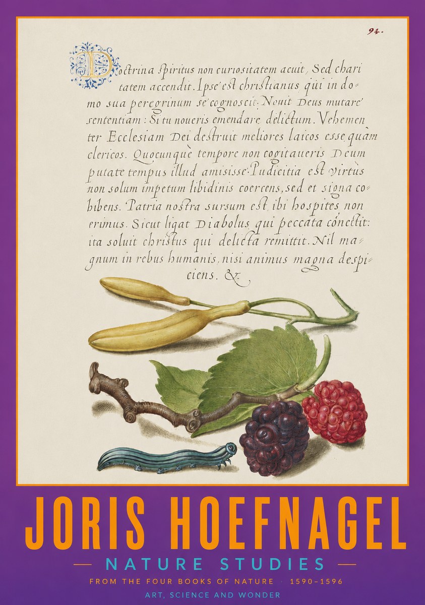 Joris Hoefnagel Nature Studies No2 - Plakát