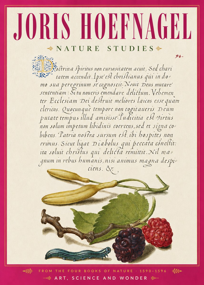 Joris Hoefnagel Nature Studies No6 - Plakát