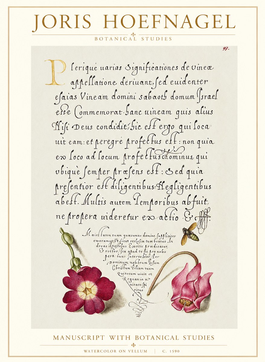 Joris Hoefnagel Manuscript with Botanical Studies No1 - Plakát