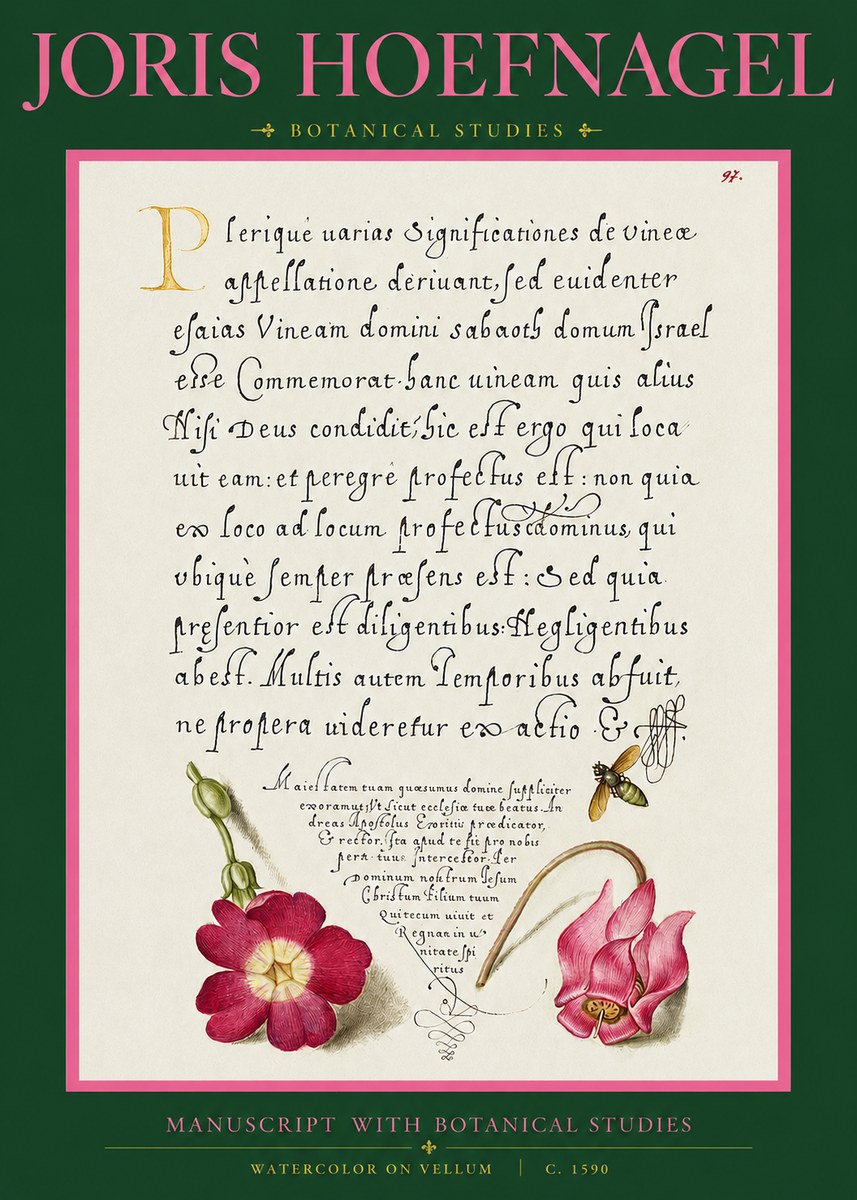 Joris Hoefnagel Manuscript with Botanical Studies No2 - Plakát