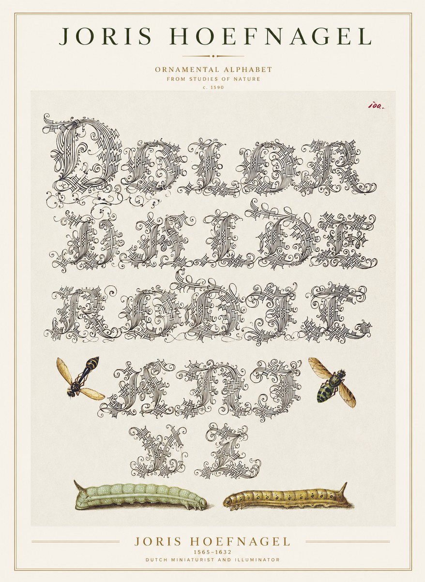 Joris Hoefnagel Ornamental Alphabet from Studies of Nature No1 - Plakát