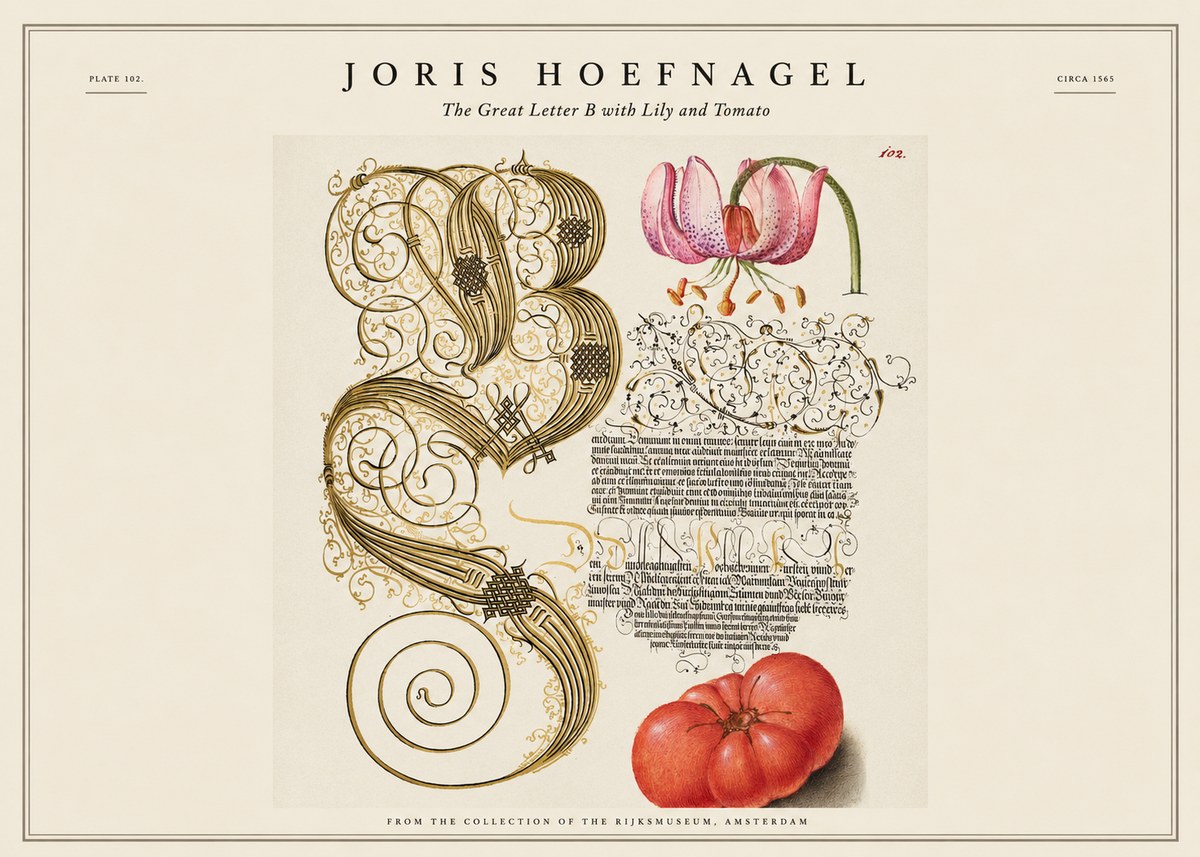 Joris Hoefnagel The Great Letter B with Lily and Tomato No1 - Plakát
