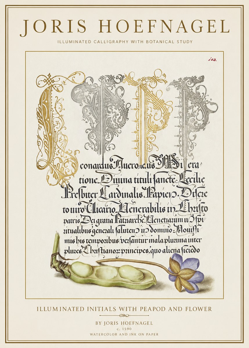 Joris Hoefnagel Illuminated Initials with Peapod and Flower No1 - Plakát