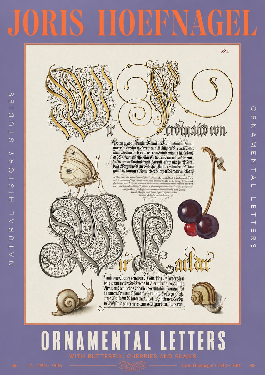 Joris Hoefnagel Ornamental Letters with Butterfly, Cherries and Snails No3 - Plakát