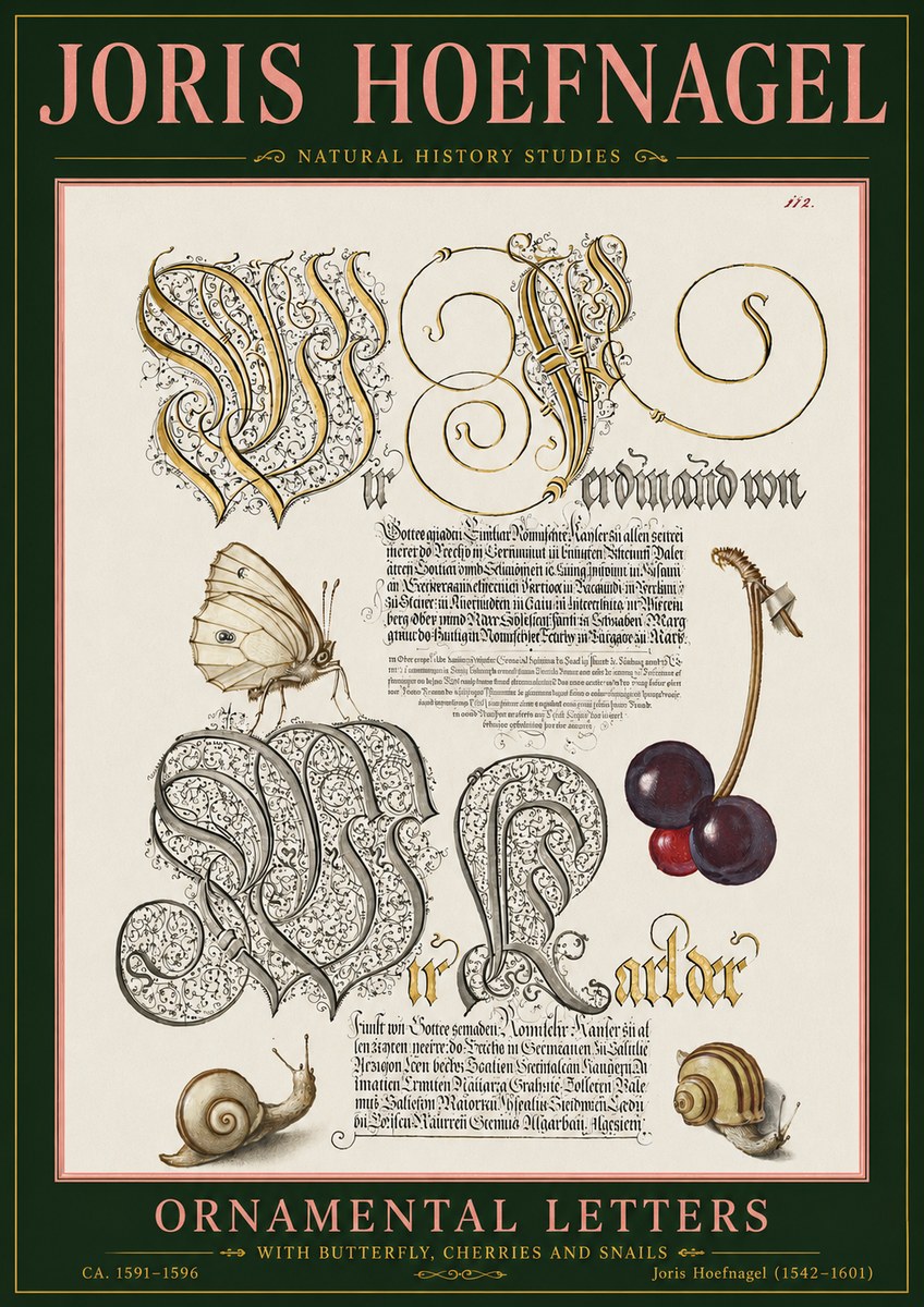 Joris Hoefnagel Ornamental Letters with Butterfly, Cherries and Snails No5 - Plakát
