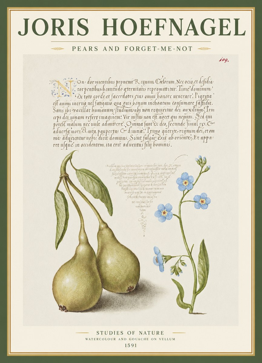 Joris Hoefnagel Pears and Forget-me-not No1 - Plakát