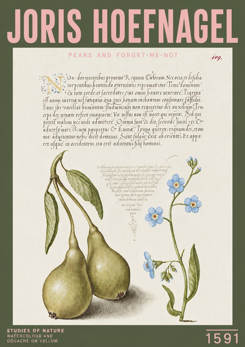 Joris Hoefnagel Pears and Forget-me-not No3 - Plakát