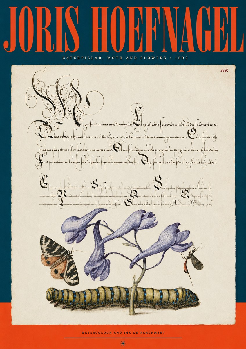 Joris Hoefnagel Caterpillar, Moth and Flowers No2 - Plakát