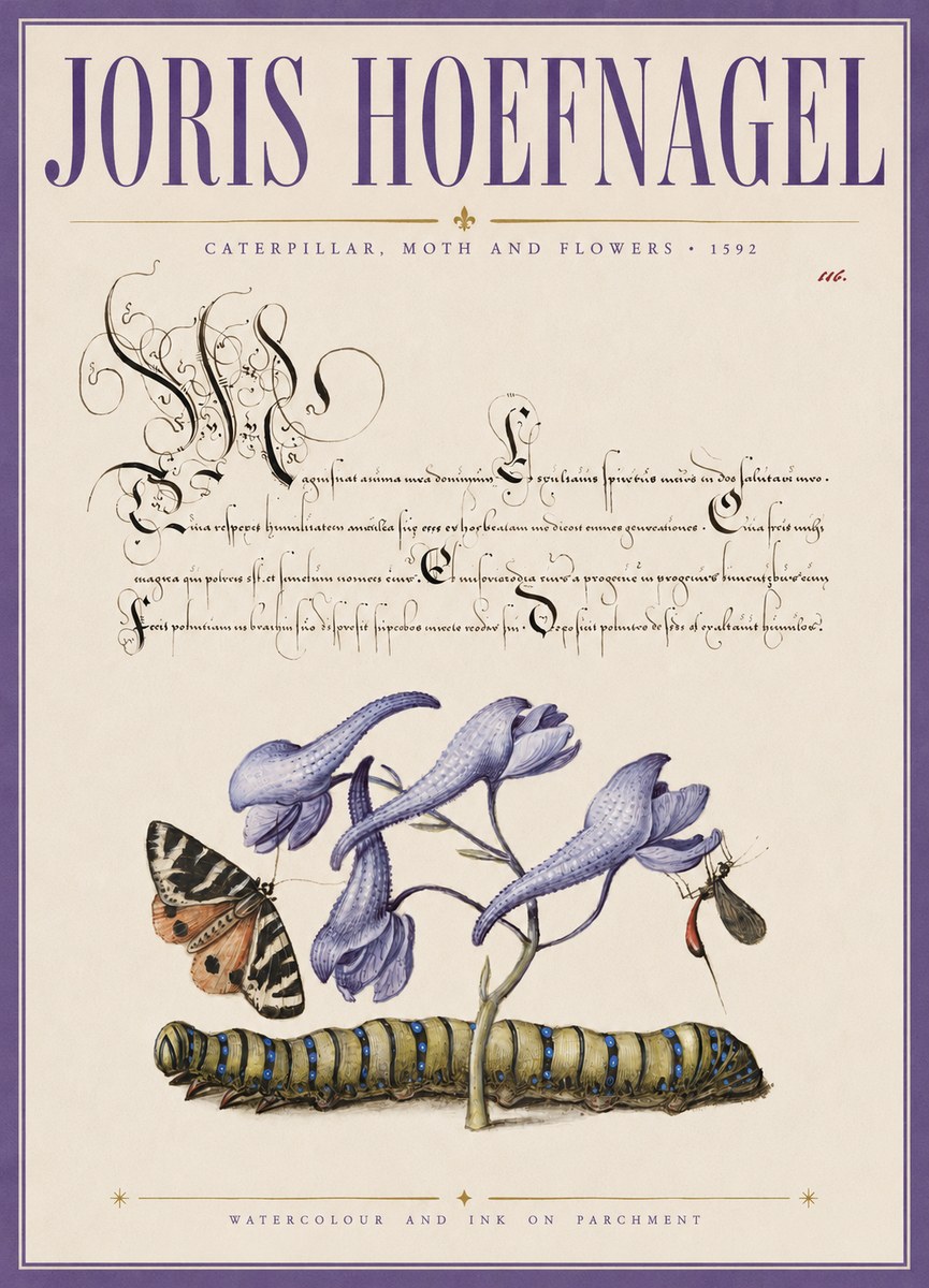 Joris Hoefnagel Caterpillar, Moth and Flowers No3 - Plakát