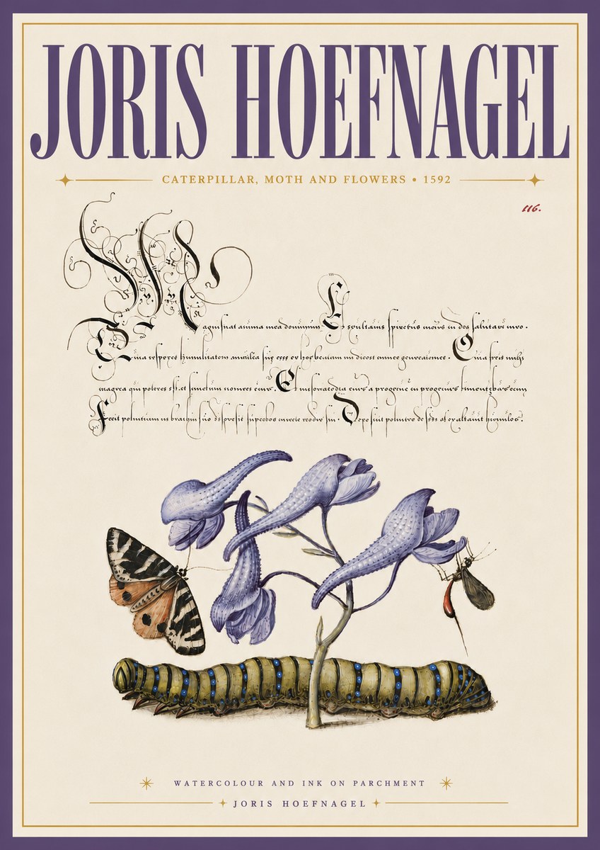 Joris Hoefnagel Caterpillar, Moth and Flowers No6 - Plakát