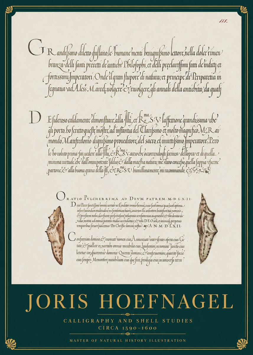 Joris Hoefnagel Study of Shells and Calligraphy No4 - Plakát