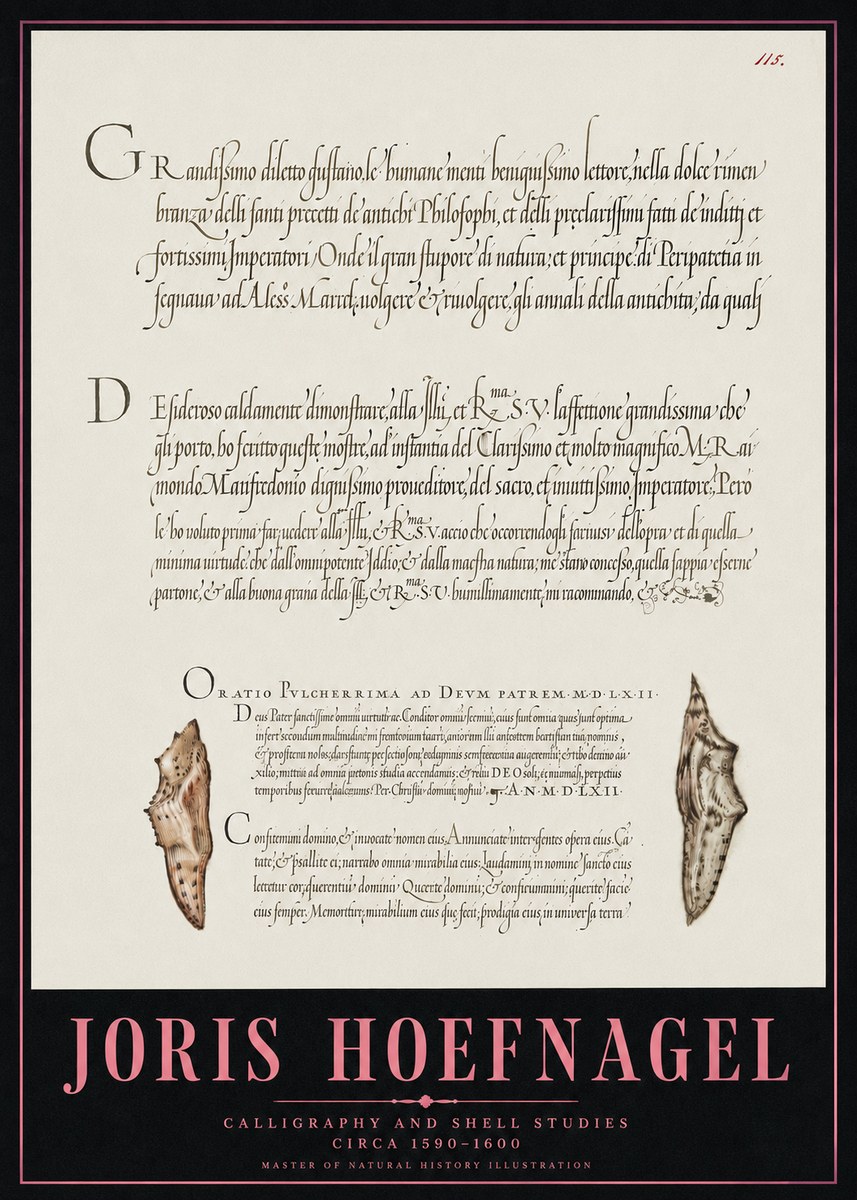 Joris Hoefnagel Study of Shells and Calligraphy No5 - Plakát