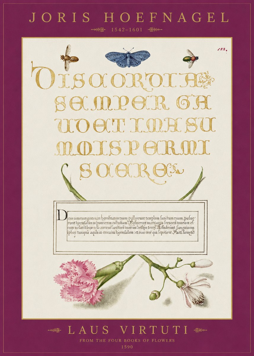 Joris Hoefnagel Laus Virtuti No2 - Plakát
