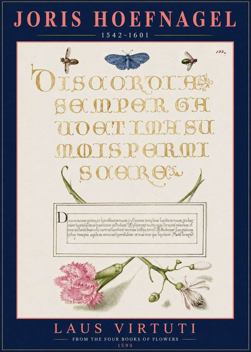 Joris Hoefnagel Laus Virtuti No3 - Plakát