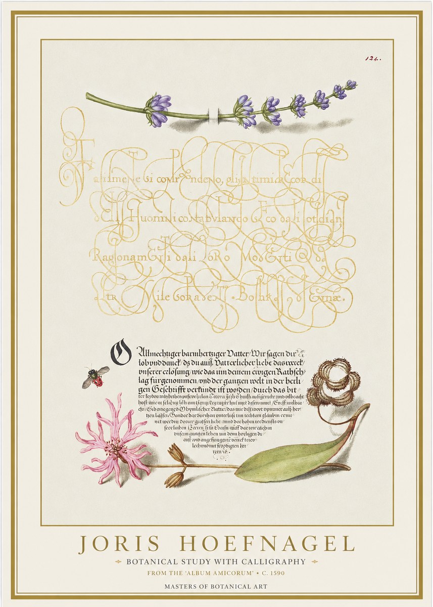 Joris Hoefnagel Botanical Study with Calligraphy IV No1 - Plakát