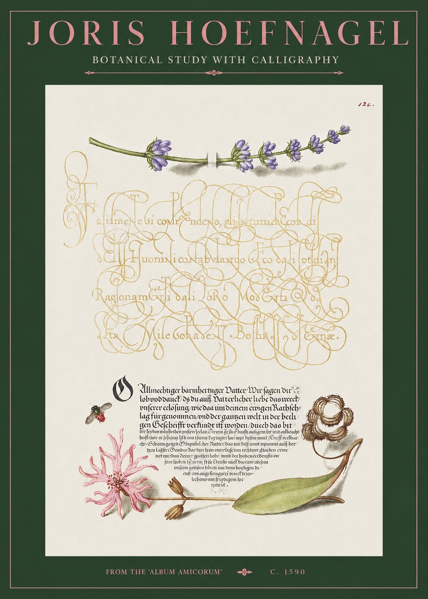 Joris Hoefnagel Botanical Study with Calligraphy IV No2 - Plakát