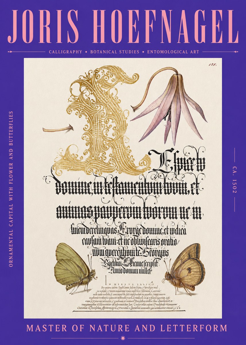 Joris Hoefnagel Ornamental Capital with Flower and Butterflies No2 - Plakát