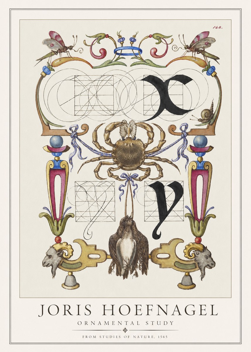Joris Hoefnagel Ornamental Study II No1 - Plakát