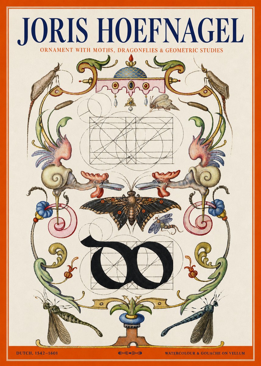 Joris Hoefnagel Ornament with Moths, Dragonflies & Geometric Studies No2 - Plakát