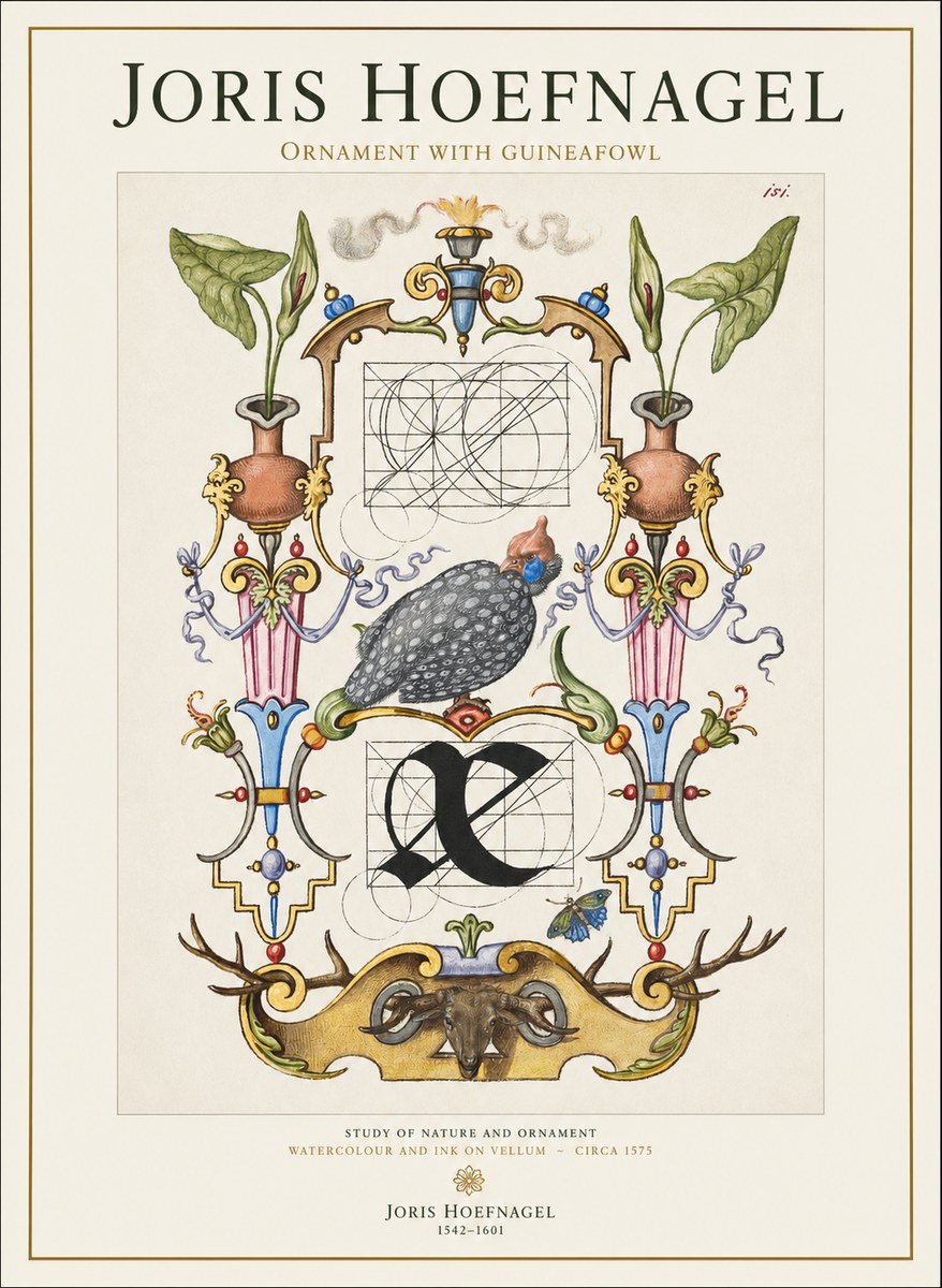 Joris Hoefnagel Ornament with Guineafowl No1 - Plakát