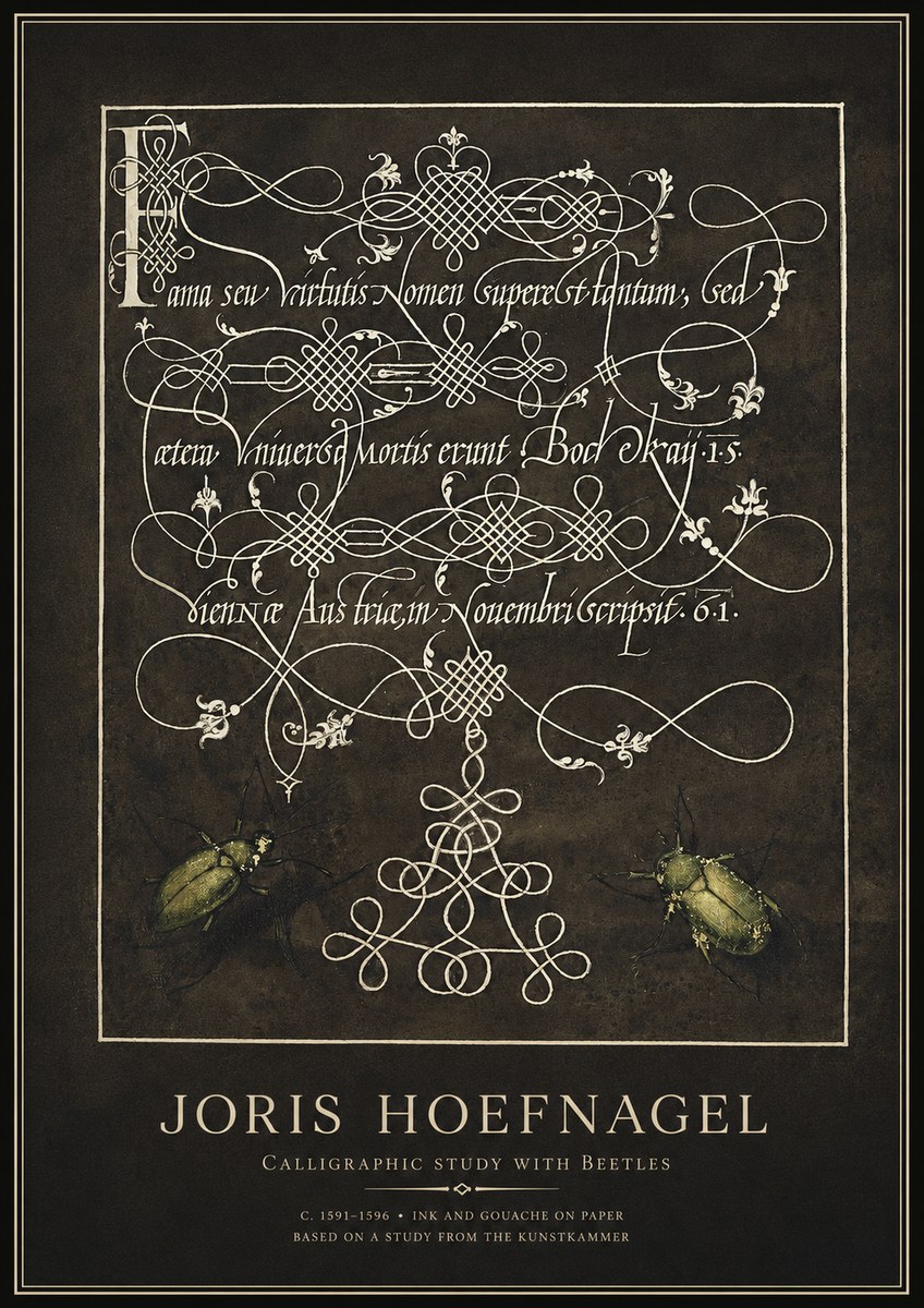 Joris Hoefnagel Calligraphic Study with Beetles No1 - Plakát