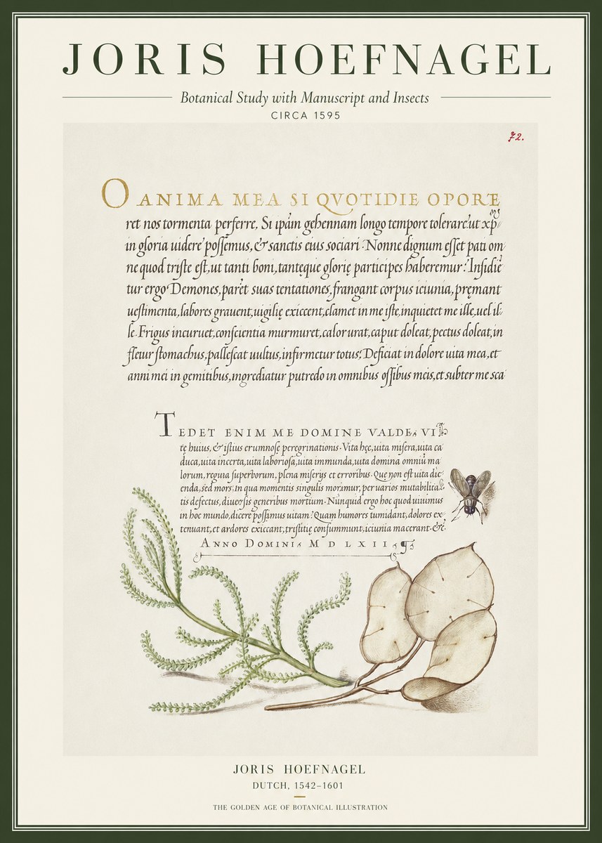 Joris Hoefnagel Botanical Study with Manuscript and Insects No1 - Plakát