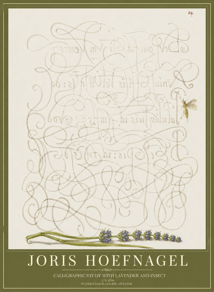 Joris Hoefnagel Calligraphic Study with Insect and Flower No5 - Plakát