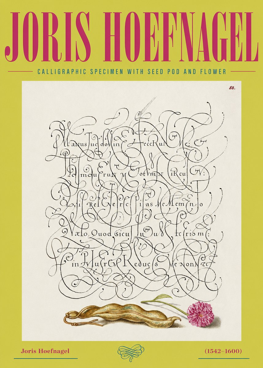 Joris Hoefnagel Calligraphic Specimen with Seed Pod and Flower No2 - Plakát