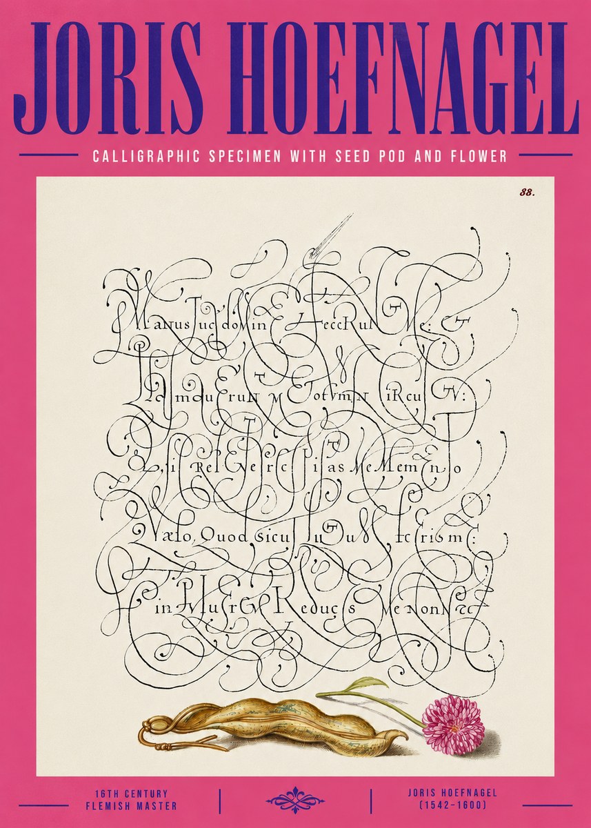 Joris Hoefnagel Calligraphic Specimen with Seed Pod and Flower No4 - Plakát