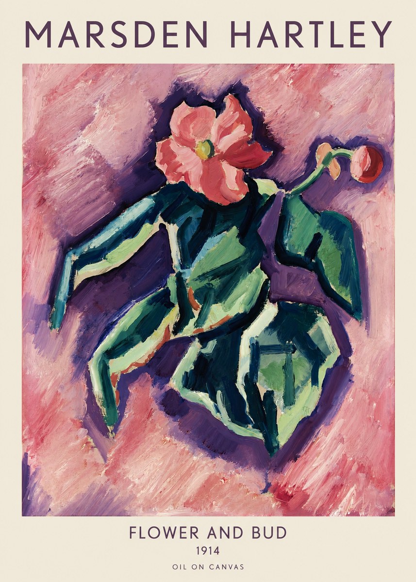 Marsden Hartley Flower and Bud No1 - Plakát