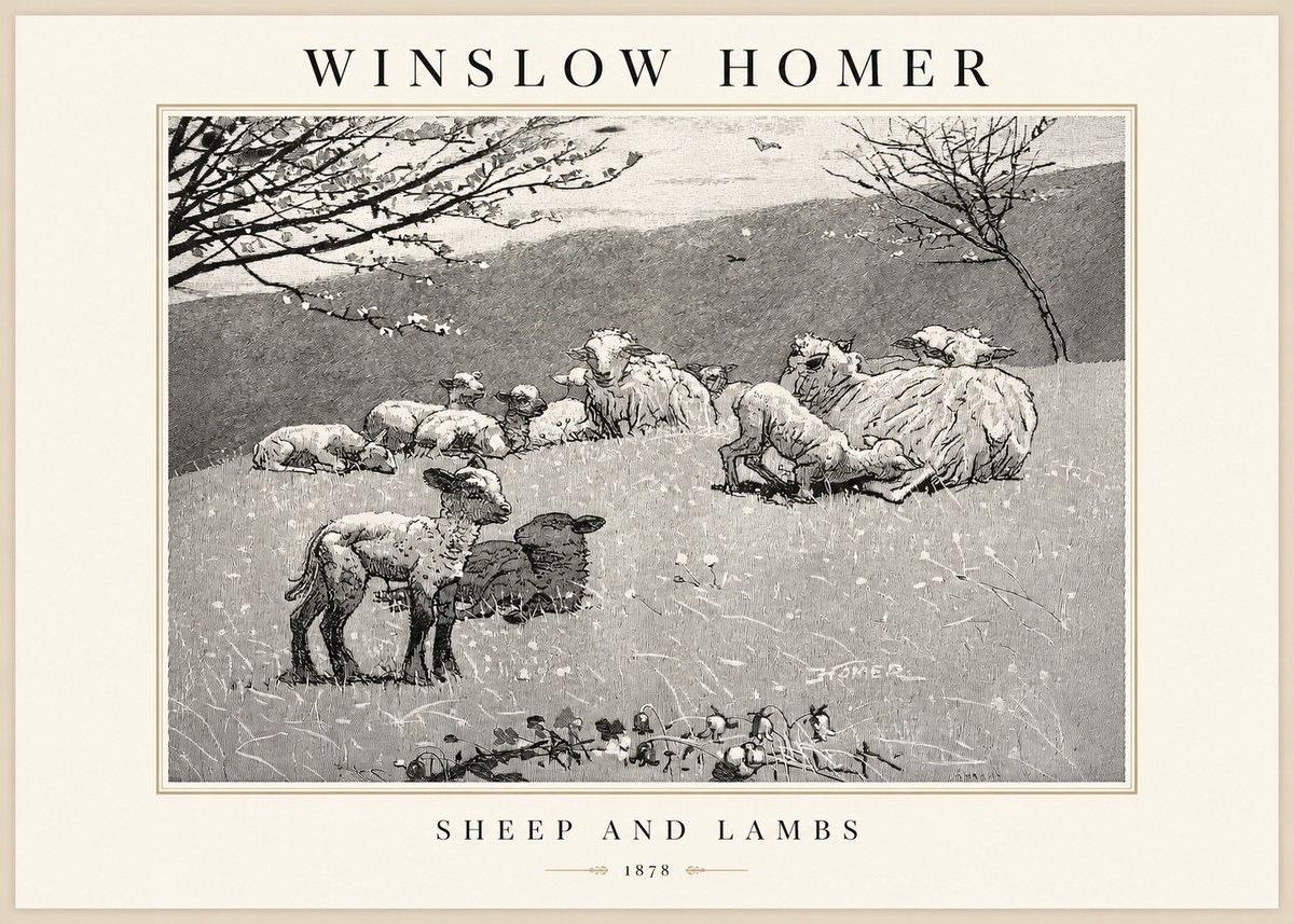 Winslow Homer Sheep and Lambs No1 - Plakát
