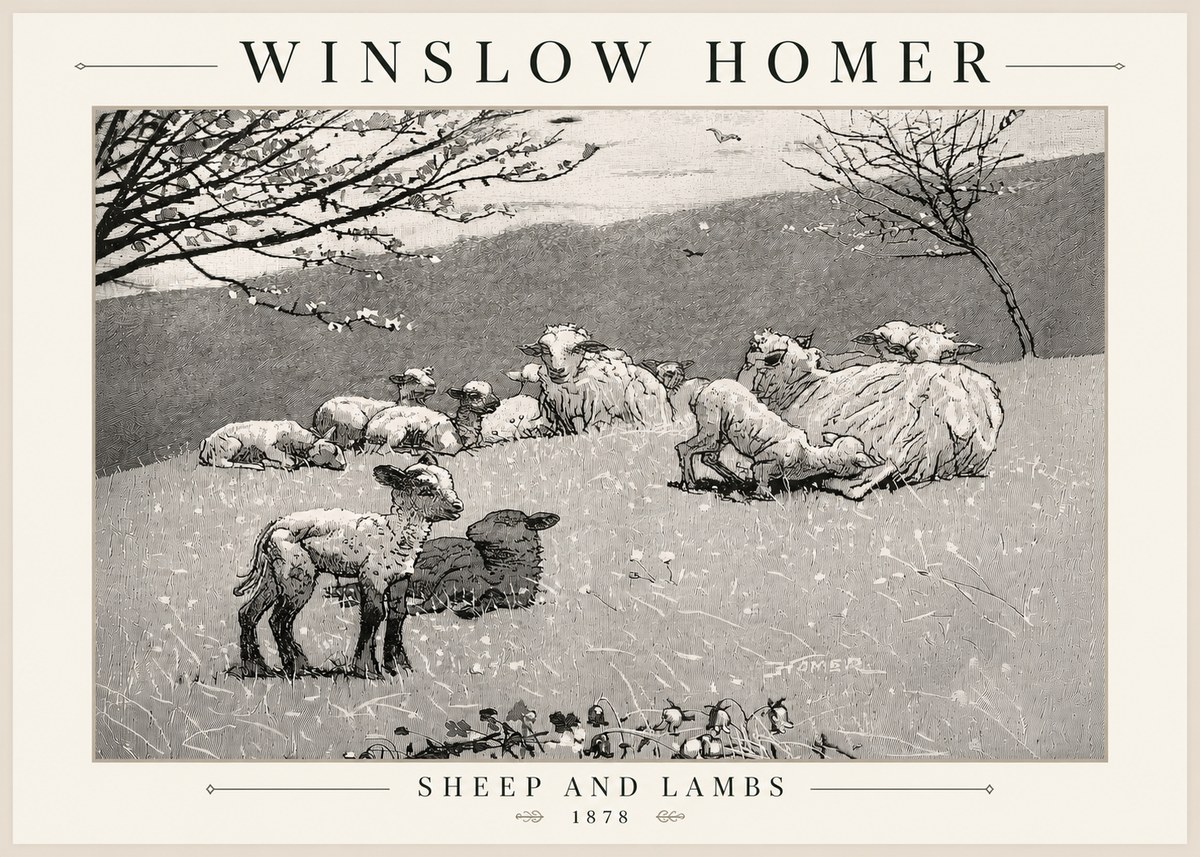 Winslow Homer Sheep and Lambs No5 - Plakát