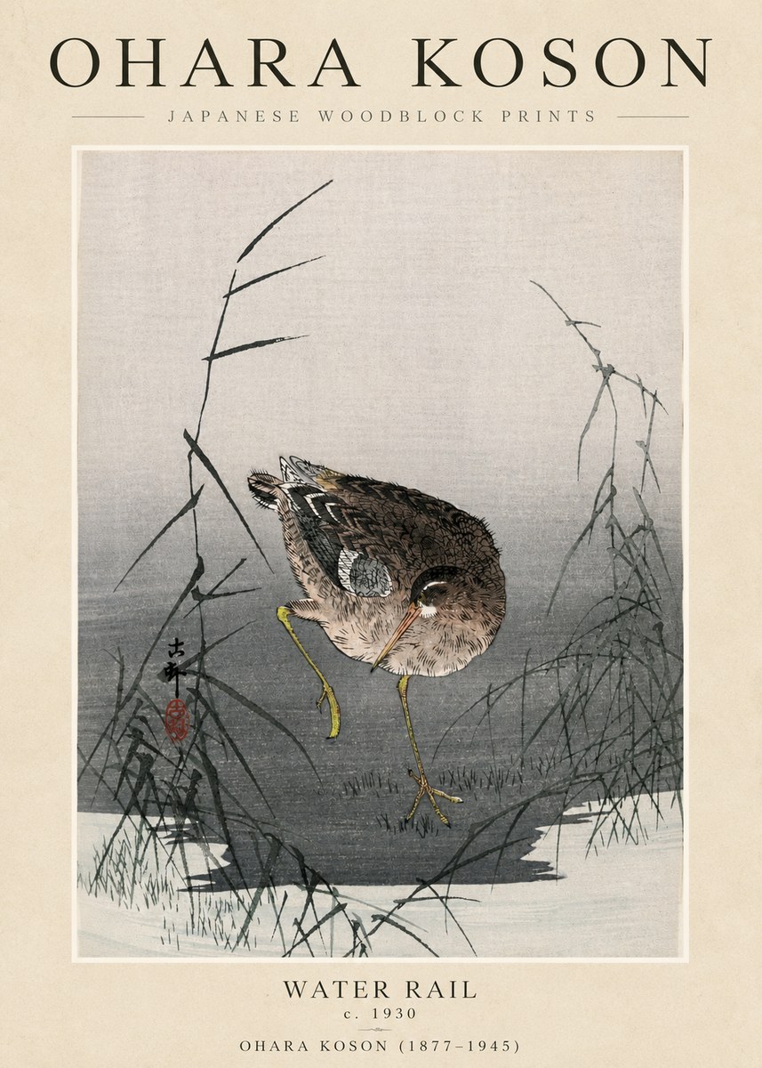 Ohara Koson Water Rail No3 - Plakát