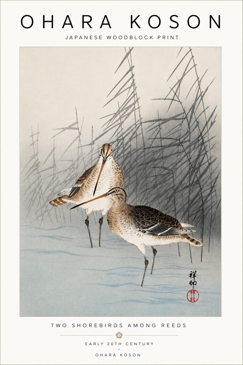 Ohara Koson Snipe in the Reeds No5 - Plakát