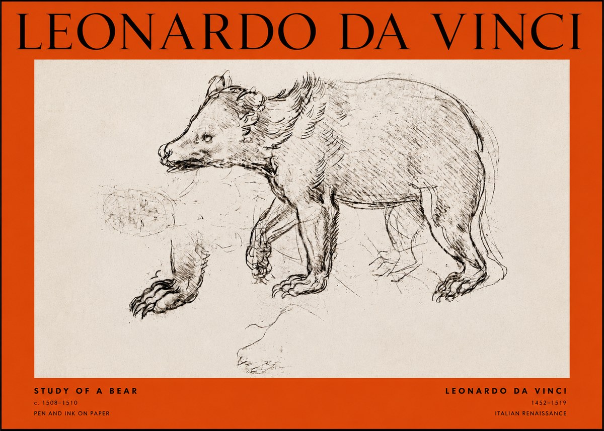 Leonardo da Vinci Study of a Bear No2 - Plakát