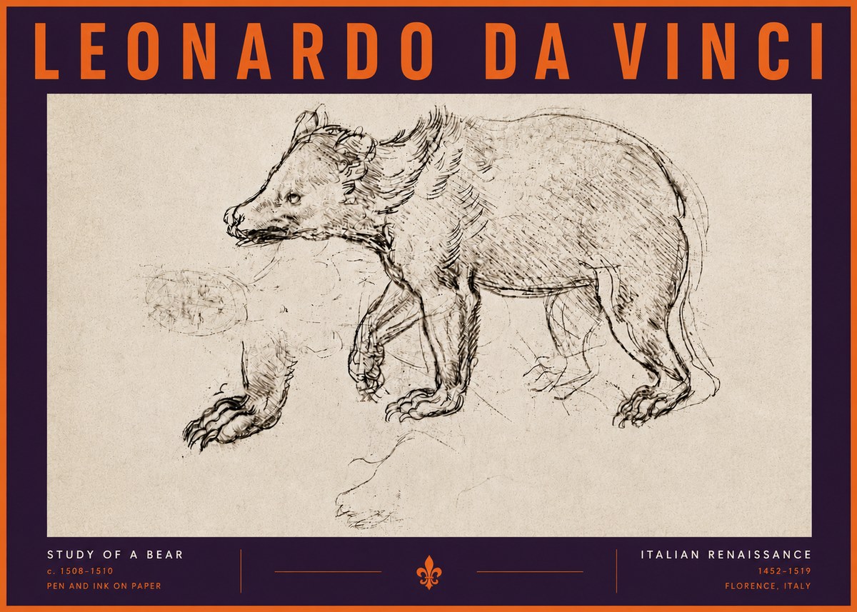 Leonardo da Vinci Study of a Bear No6 - Plakát