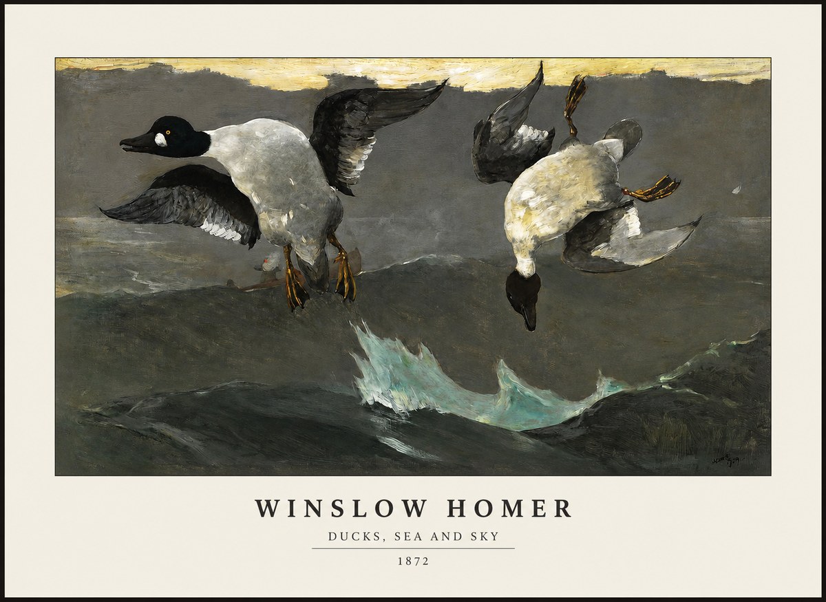 Winslow Homer Ducks, Sea and Sky No1 - Plakát
