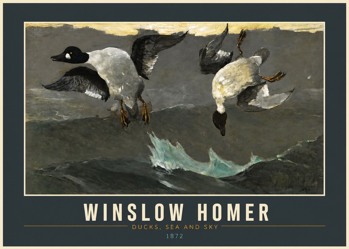 Winslow Homer Ducks, Sea and Sky No2 - Plakát