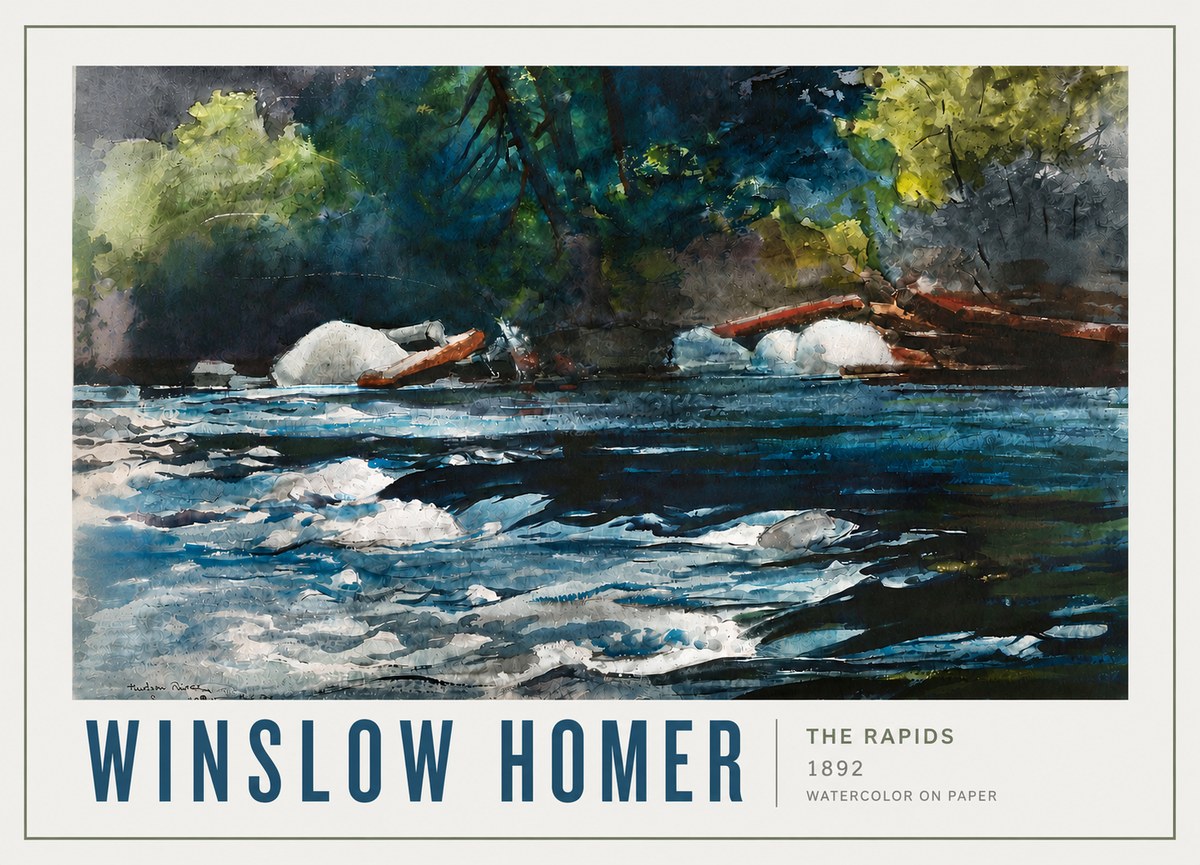 Winslow Homer The Rapids No4 - Plakát