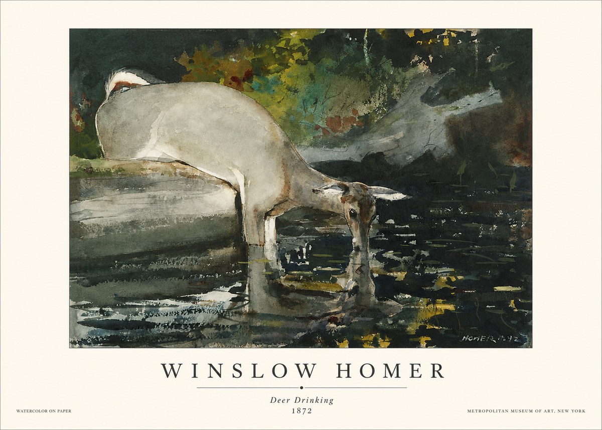 Winslow Homer Deer Drinking No1 - Plakát