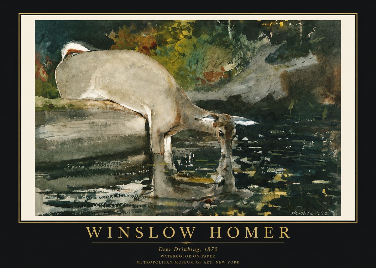 Winslow Homer Deer Drinking No3 - Plakát